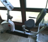 Schwinn Biofit Exercise Bike