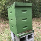 Italian Bee Hive