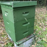 Russian Bee Hive
