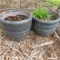 Set of 2 Plastic Planter Pots