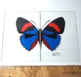 Vintage Amy Brenton Butterfly