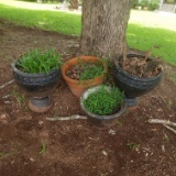 Planter Lot of 4