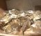 Large Lot of Brass Cabinet Hinges By Belwith - Most are Sealed - All Are New