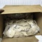 Large Lot of Wooden Biscuits