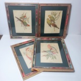 Vintage J Gould Bird Art Set of 4