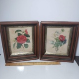 Vintage Framed Botanicals Set of 2