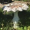 White Concrete Bird Bath