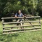 10 ft Galvanized Metal Gate