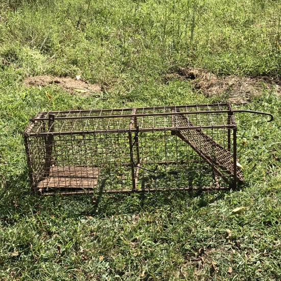 Antique Heavy Animal Trap