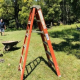 6ft. Fiberglass Louisville Ladder