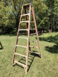 10 Ft Fiberglass Ladder