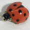 Ladybug Pin with Green Stone Eyes