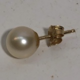 Earring with Real Pearl & 14k Gold Post and End
