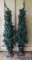 Faux Christmas Lighted Trees Set of 2