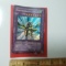 Yu-Gi-Oh 1996 Gaia The Dragon Champion Card