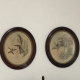 Vintage Oval Hummingbird Prints in Wooden Frames