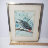 Vintage Parrot Original Watercolor Art