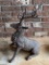 Tall Resin Stag Statue