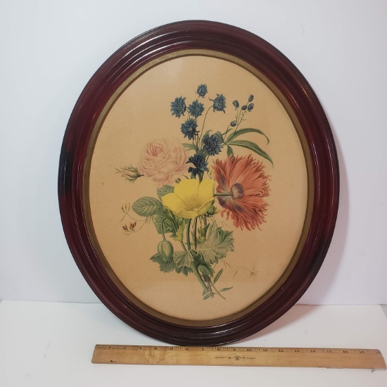 Large Vintage Oval Framed Botanical Print