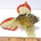 Vintage Art Glass Fish