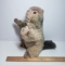 Vintage Steiff Stuffed Beaver
