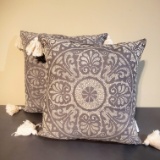 Grey Tasseled Throw Pillows Set of 2