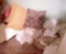 Linen Closet Lot, Sheets, Pillows, Comforters, and More