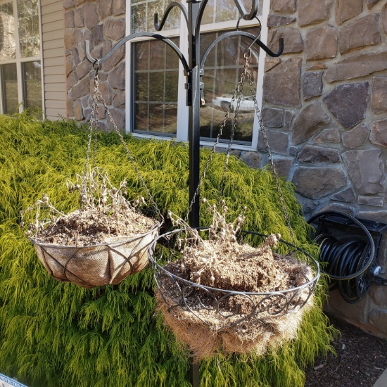 Set of 2 Wire Hanging Planter Basket