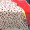 Beautiful Small Red Handmade Ladybug Quilt