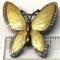 Unusual Vintage Bronze Butterfly with Yellow Enamel Coating and Rhinestone Trim