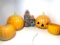 Lot of Vintage Ceramic Pumpkins, Jack-O-Lantern & Haunted House