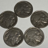 Lot of 5 Buffalo Nickles