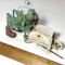Adorable Grasshopper with Cart Figurine