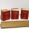 Set of 3 Miniature 1959 Langenscheidt’s Lilliput Dictionary English-Dutch