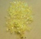 Lot of 4mm Fire Polished Crystals - Iridescent Yellow