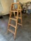 Davidson 5 ft Ladder