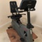 Life Fitness Life Cycle 9500HR Exercise Bike with Extra Pedals