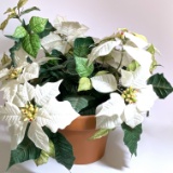 Artificial Poinsettia Arrangement in Clay Pot