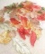 Lot of Leaf Beads and Charms - Various Colors and Shapes