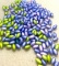 Lot of Oval Beads - Purple and Green