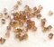 Lot of 4mm Bicone Glass Beads - Square, Light Amber
