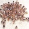 Lot of 4mm Bicone Glass Beads - Capri Gold