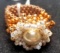 Handcrafted Copper Beaded Ring with Flower Top & Pearl Center