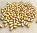 Lot of Oval Beads - Light Topaz