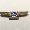 Vintage Eastern Airlines “Wings” Pin