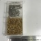 Gold/Silver Plated Clam Shells