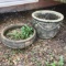 Two Concrete Planters