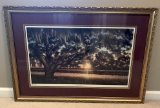 Southern Splendor Framed & Matted Print  by Jim Booth 