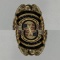 Gold Tone Security Officer Badge