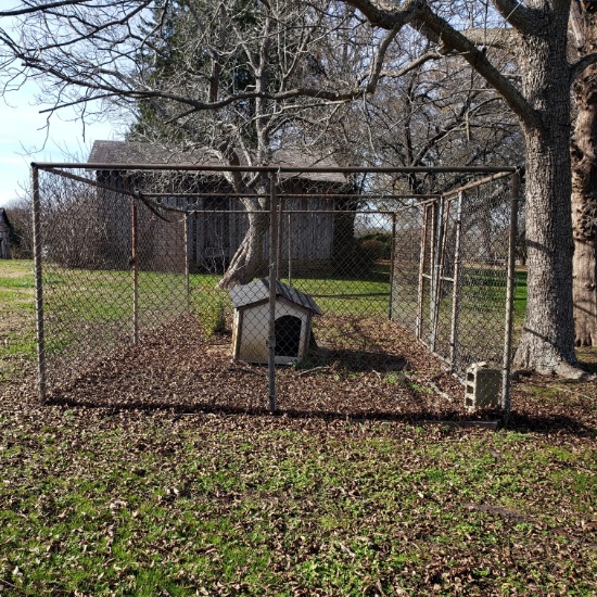 Chain Link Dog Pen and Dog House